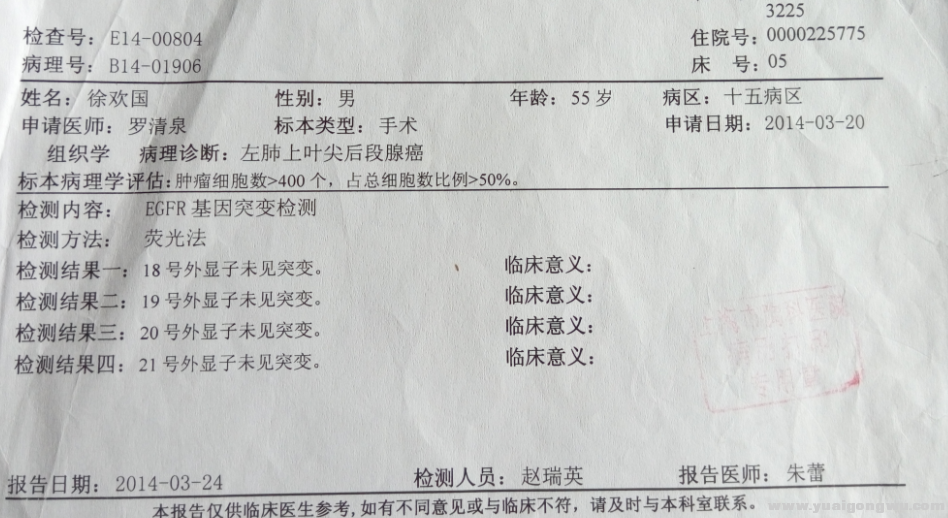 医院基因报告