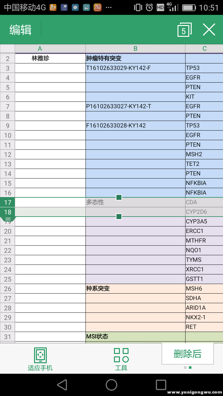 这是医生刚给的 10月24号做的第二次基因鉴定  