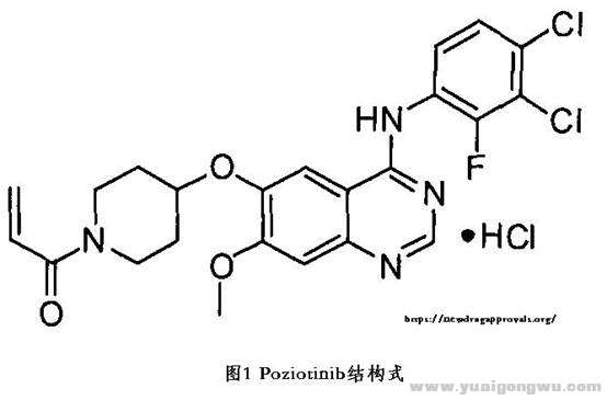 波齐替尼Po2.jpg