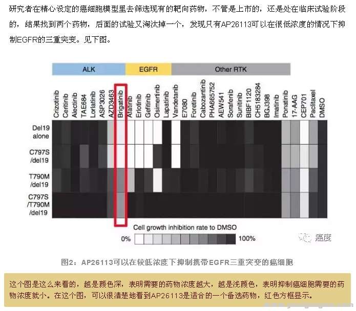 C797S不能阻止2992、易瑞沙、特罗凯抑制19突变.JPG