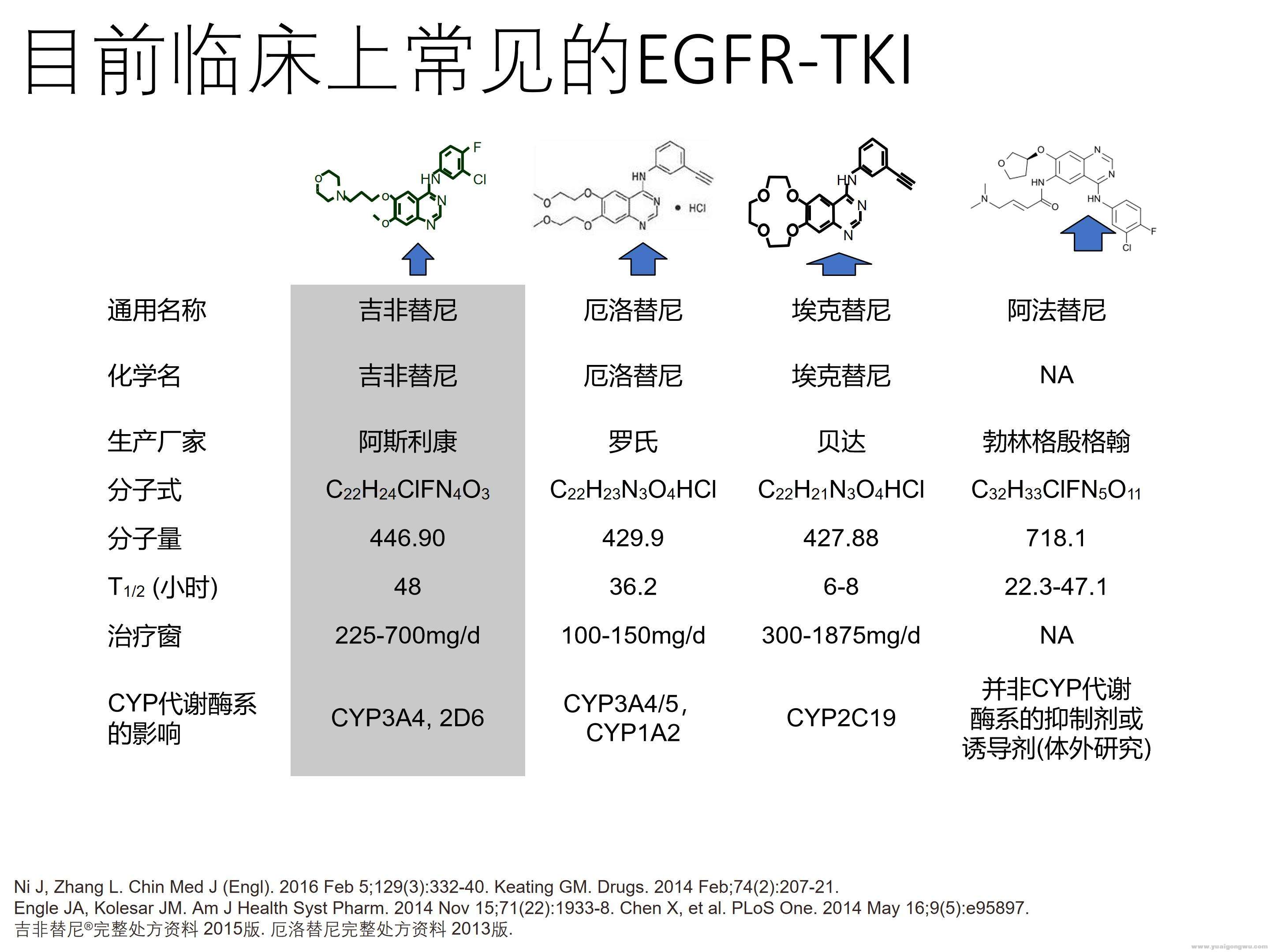 EGFR突变靶向治疗全程管理_05.jpg