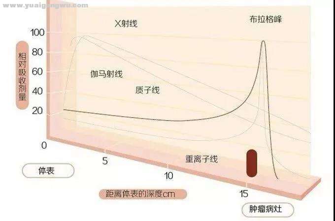 微信图片_20201006180321.jpg