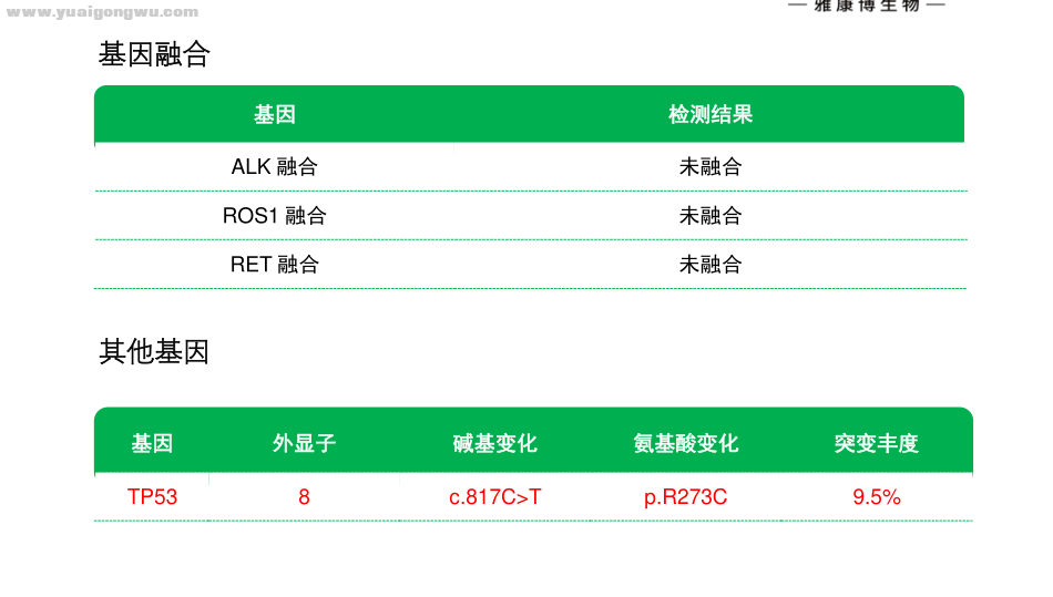 TP53第8外因子突变