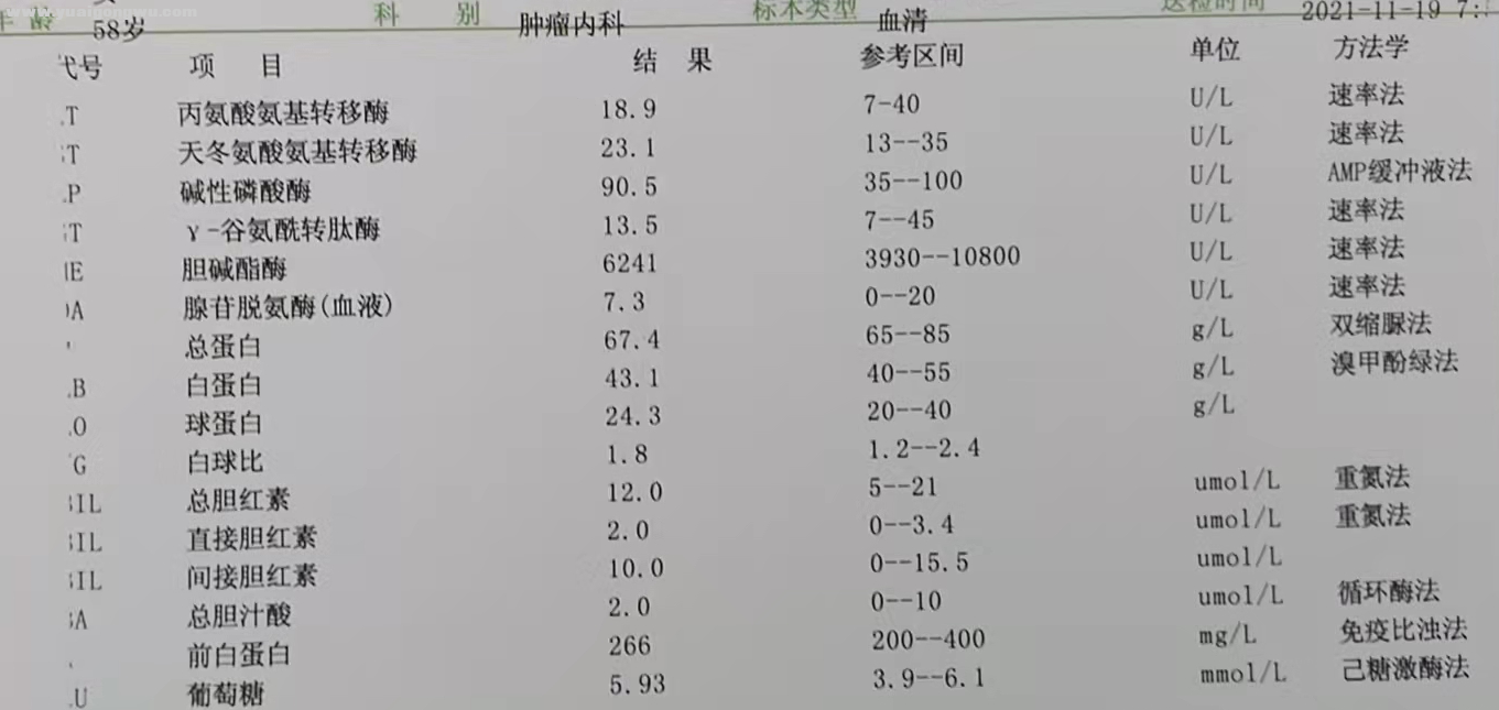 11月血液1