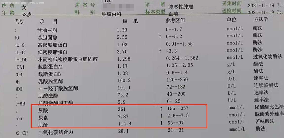 11月血液2