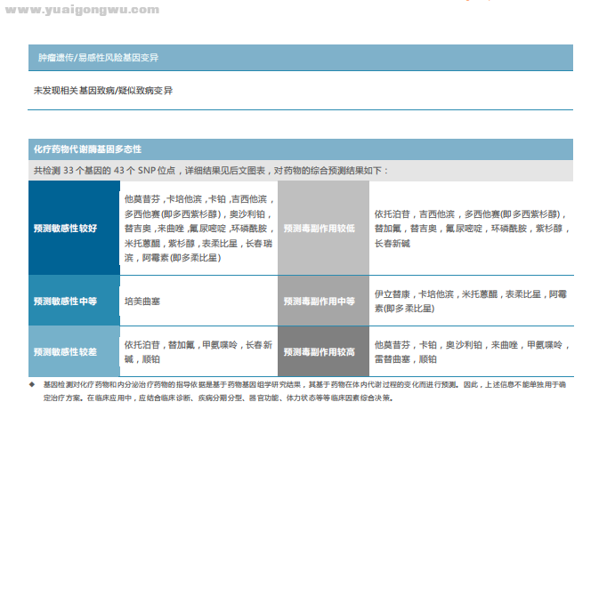 基因检测报告2