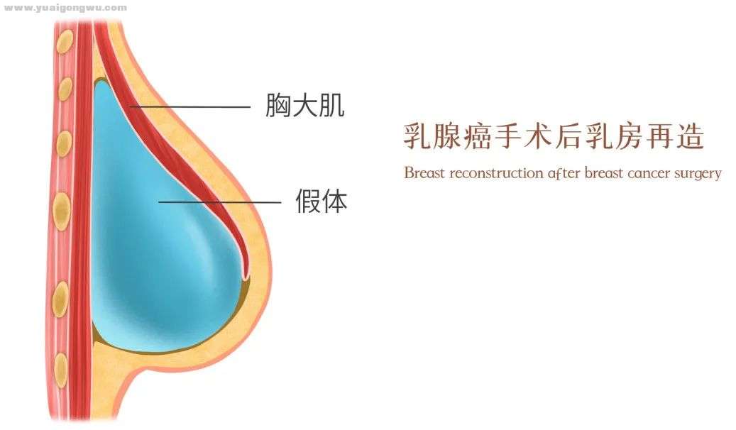 微信图片_20220711090558.jpg